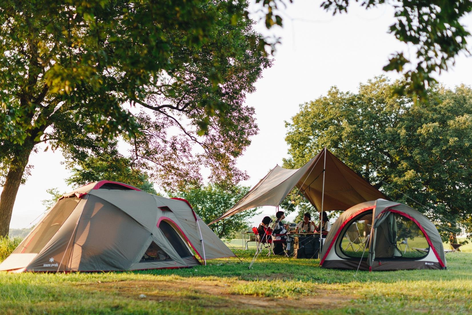 🌳 아부라야마 시민의 숲(아부라야마시민노모리) 이미지 2